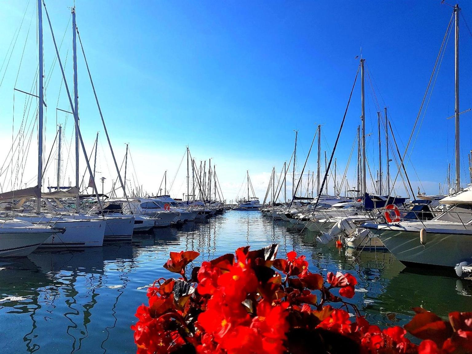 Studio T1- 2 Min Des Plages - Golf-Juan - Clim&Wifi Vallauris Eksteriør bilde